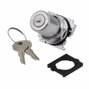 10250T15112 - Sel SW 2P Key Ma Ky/L