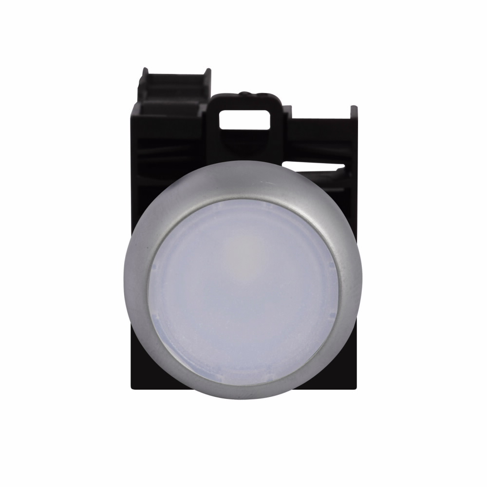 M22DRLWK11WP - White FL Ill Main PB 1NO/1NC 12-30VAC/DC Led LGND