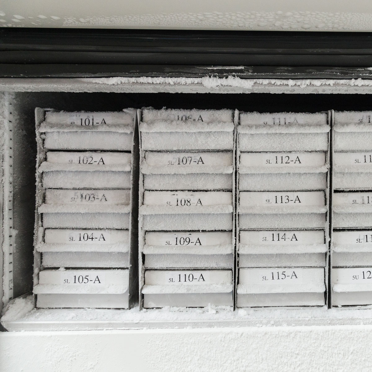 M21375499 - Multi-Purpose Nylon Labels W/Ribbon, 0.375" - Image 6