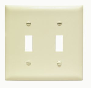 TP2I - Trademaster Wallplate 2G 2 Toggle Iv